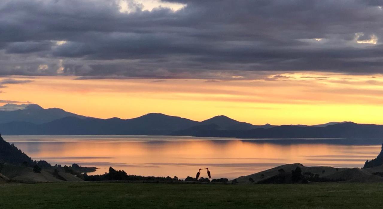 Hilltop Whakaipo Estate Taupo Dış mekan fotoğraf