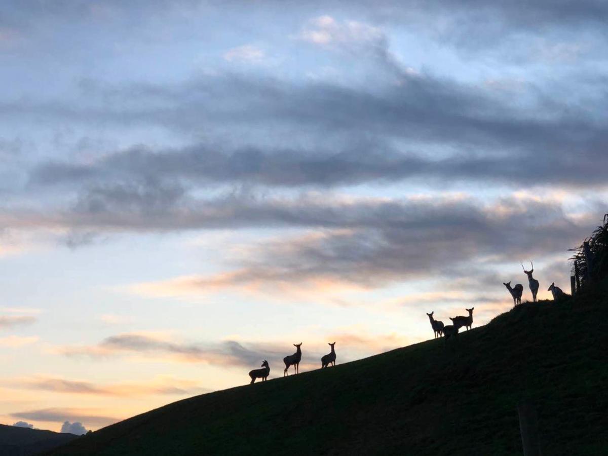 Hilltop Whakaipo Estate Taupo Dış mekan fotoğraf