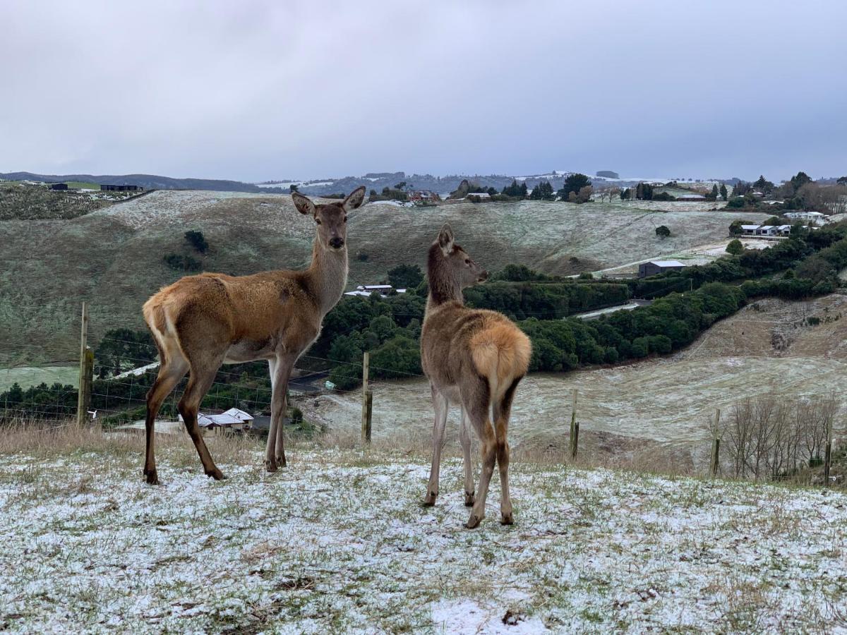 Hilltop Whakaipo Estate Taupo Dış mekan fotoğraf