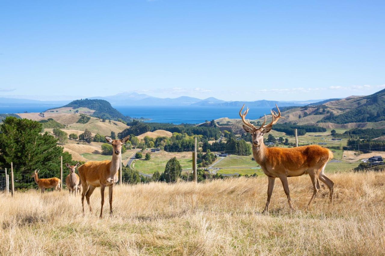 Hilltop Whakaipo Estate Taupo Dış mekan fotoğraf