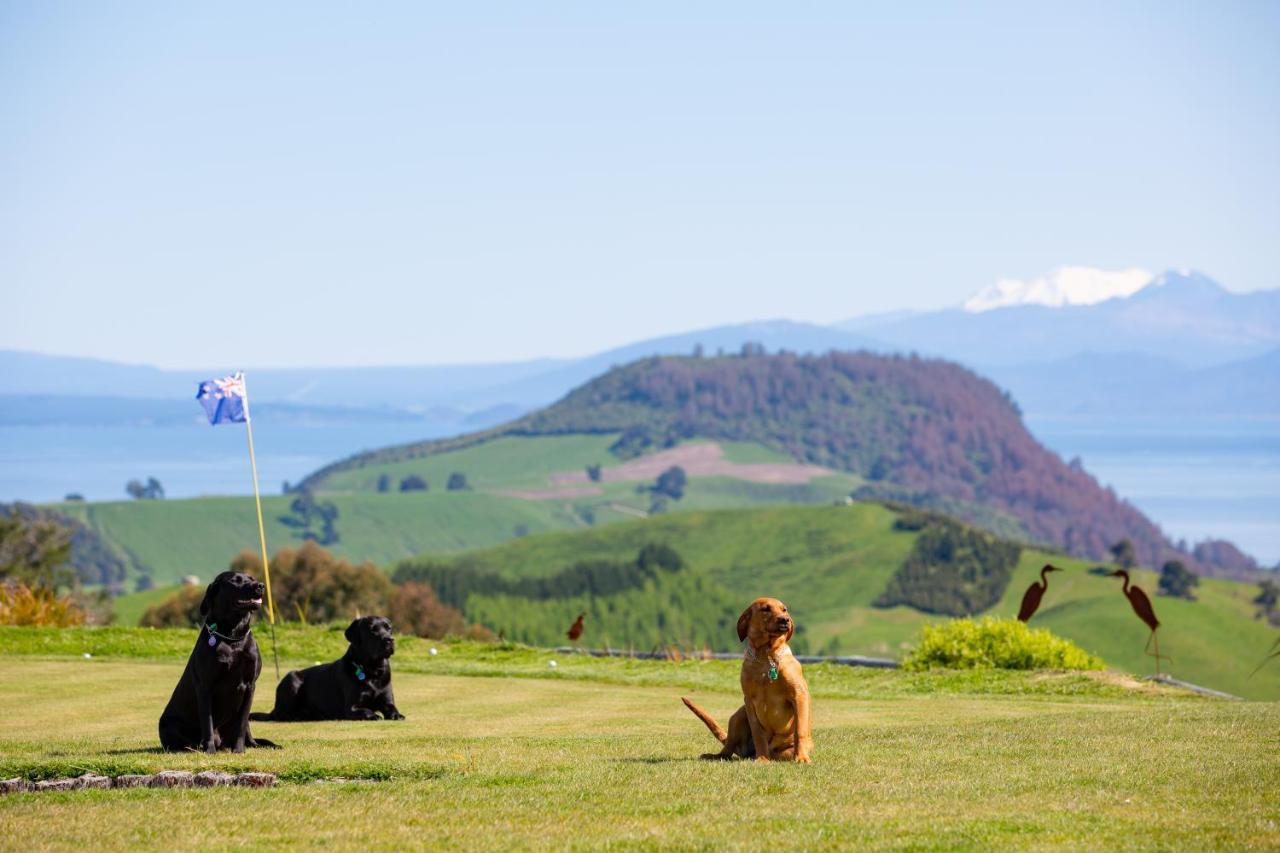 Hilltop Whakaipo Estate Taupo Dış mekan fotoğraf