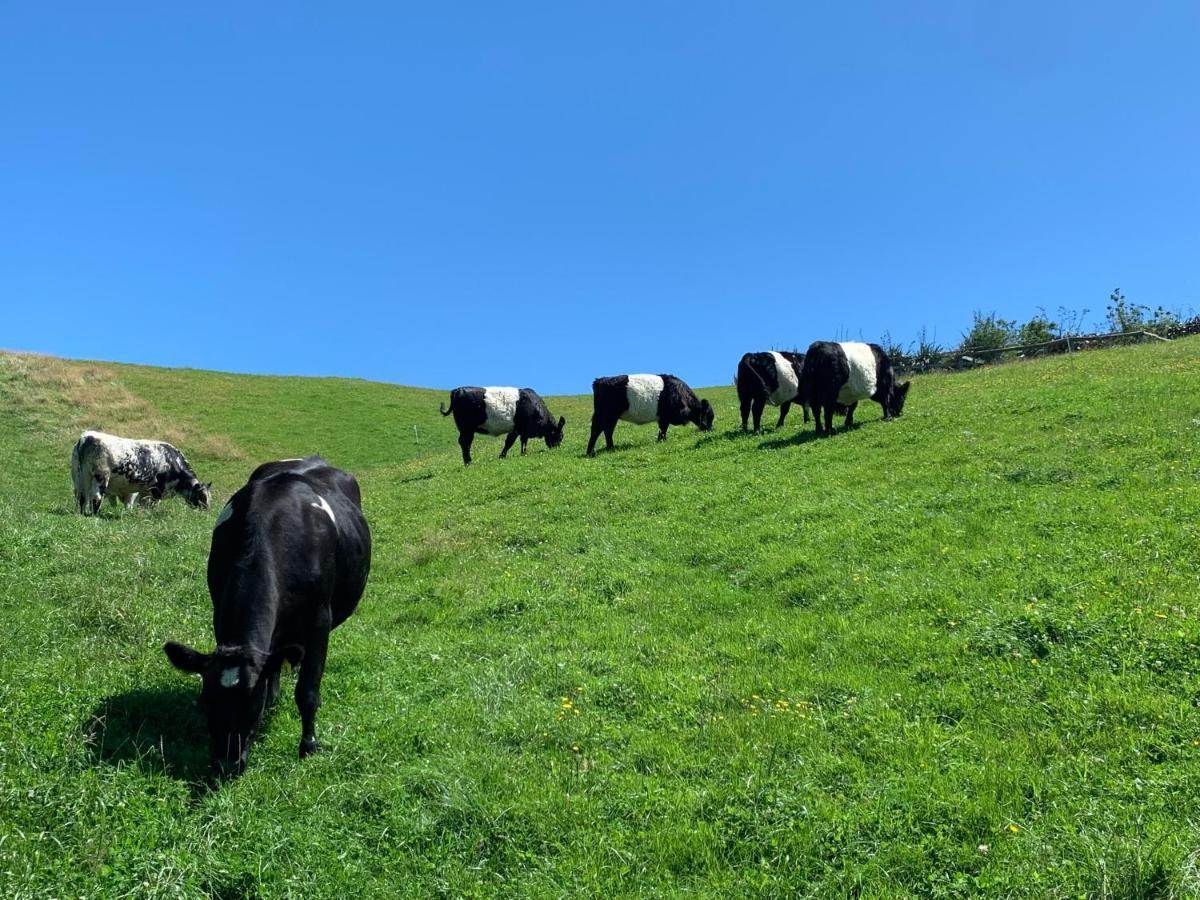Hilltop Whakaipo Estate Taupo Dış mekan fotoğraf