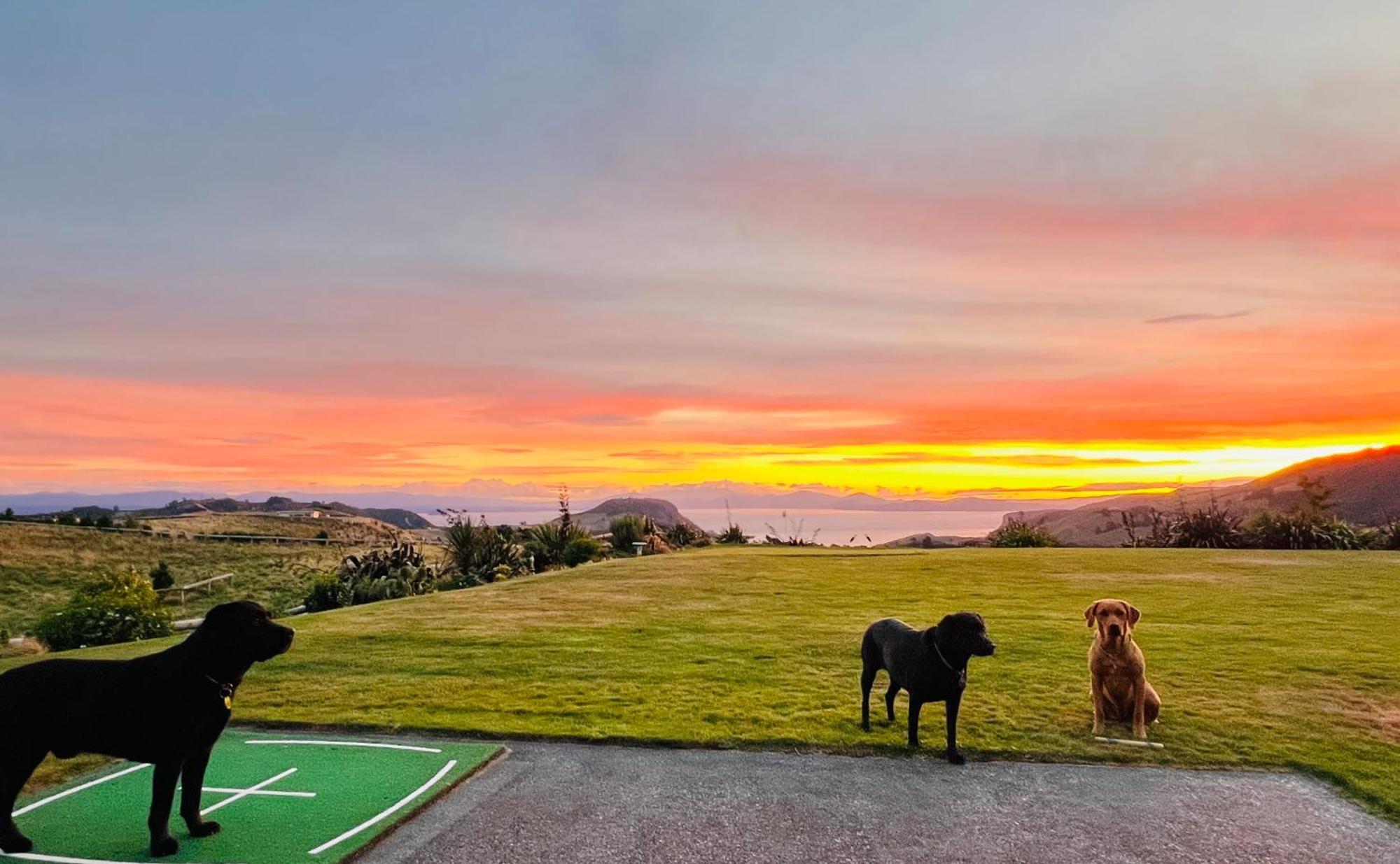 Hilltop Whakaipo Estate Taupo Dış mekan fotoğraf