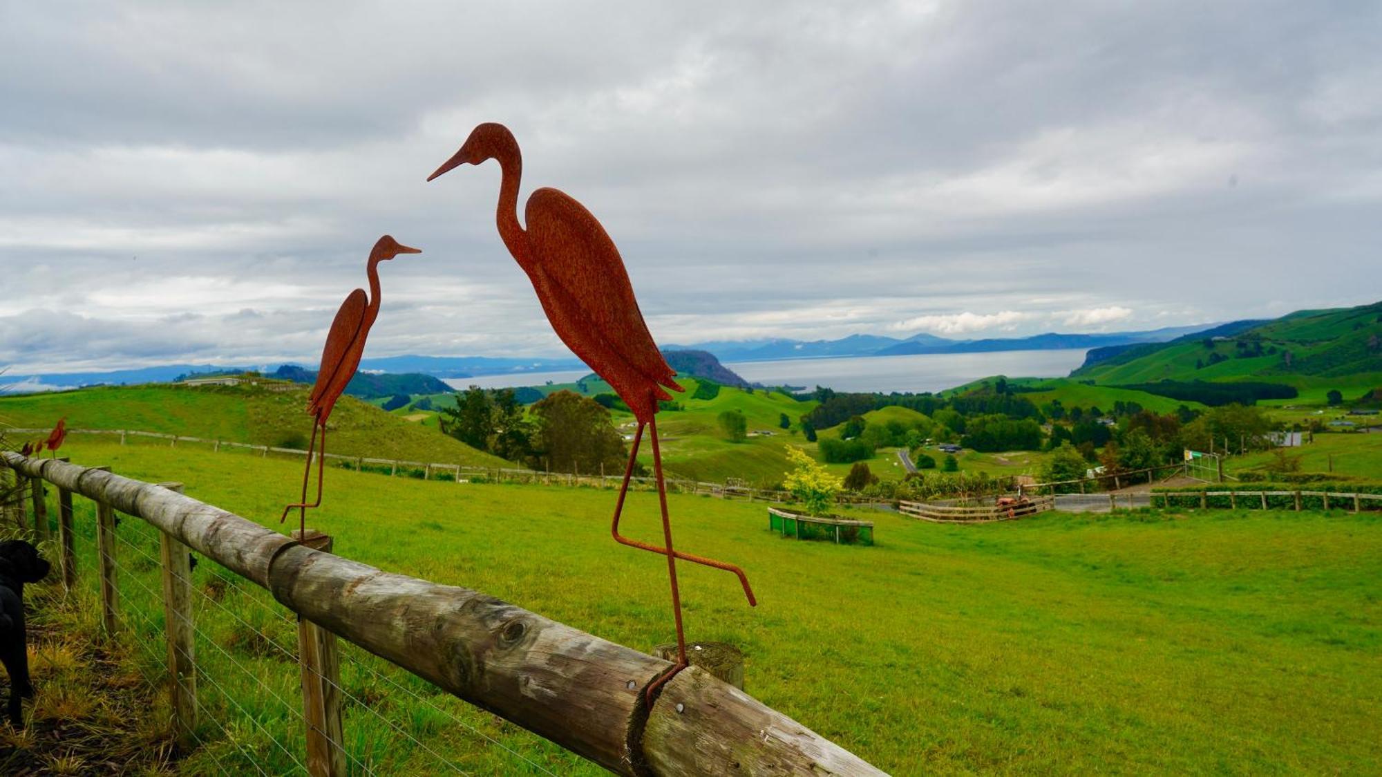 Hilltop Whakaipo Estate Taupo Dış mekan fotoğraf