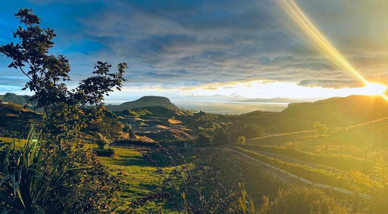 Hilltop Whakaipo Estate Taupo Dış mekan fotoğraf