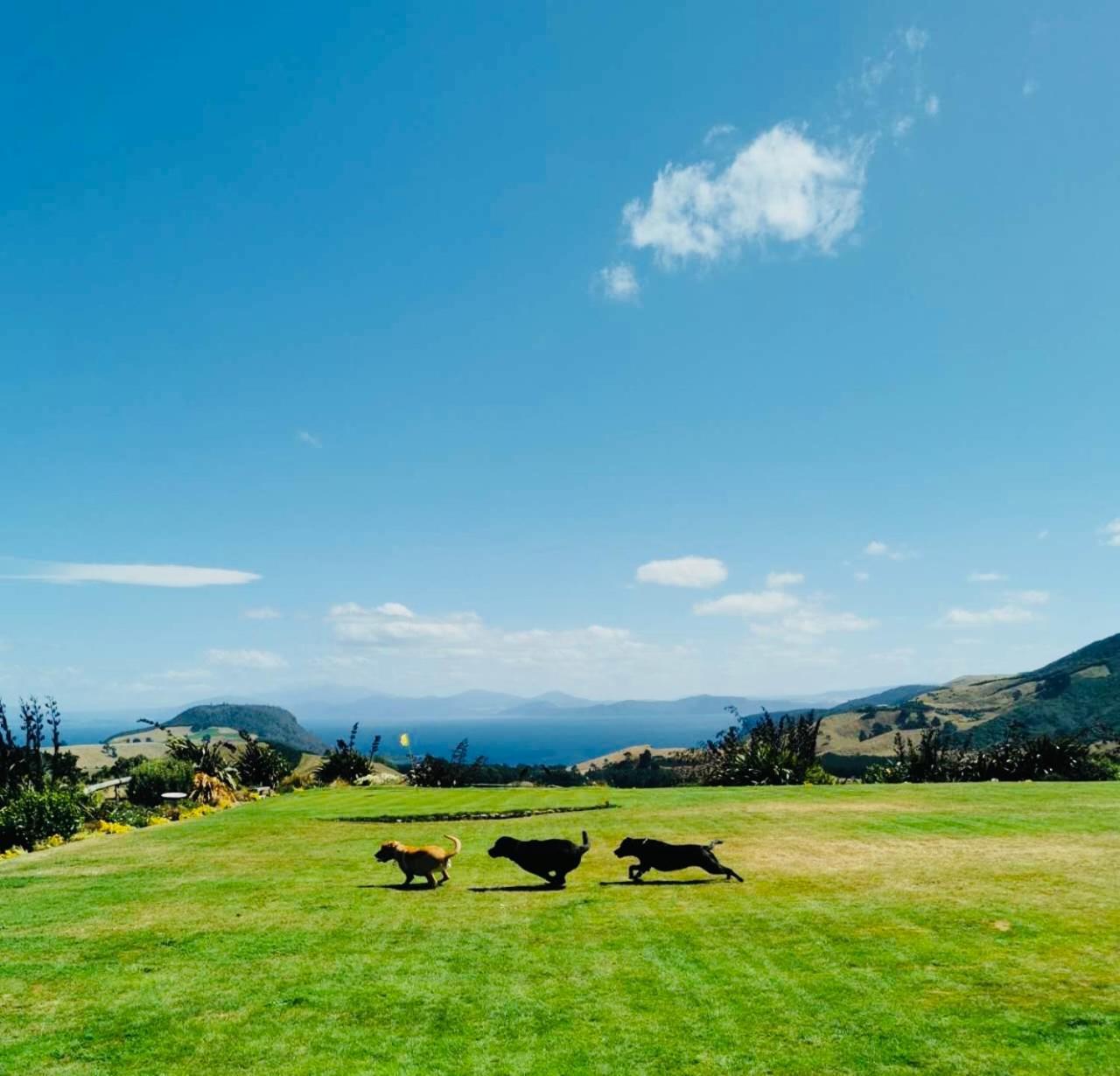 Hilltop Whakaipo Estate Taupo Dış mekan fotoğraf